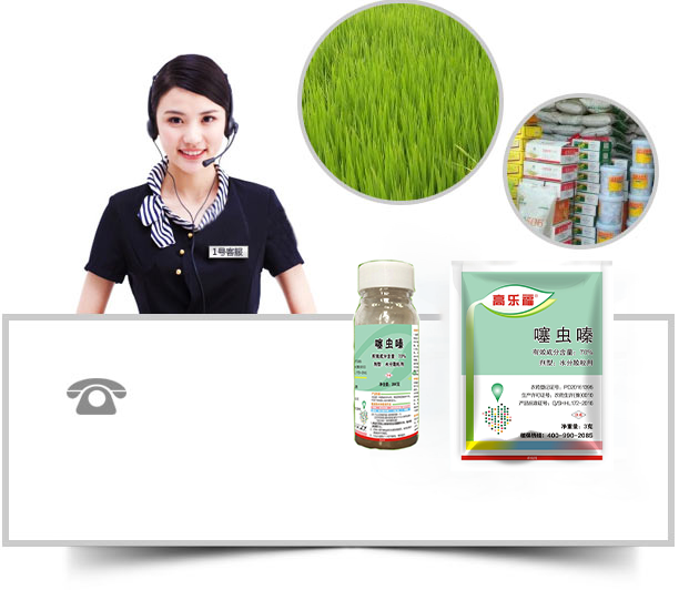 除草劑廠(chǎng)家，除草劑批發(fā)